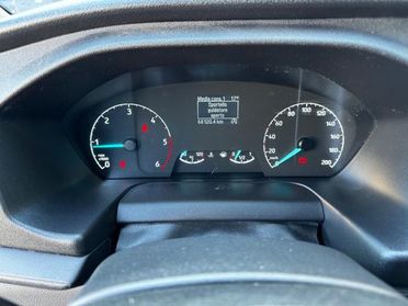 FORD Transit 290 2.0TDCi EcoBlue MHEV 130CV Furgone