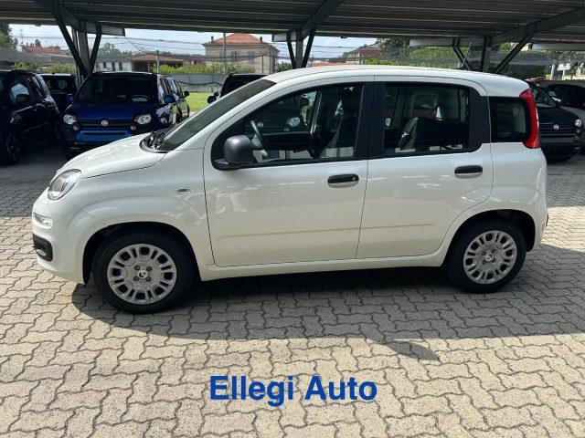 FIAT Panda PROMO FINANZ 1.0 HYBRID ICON KM 0