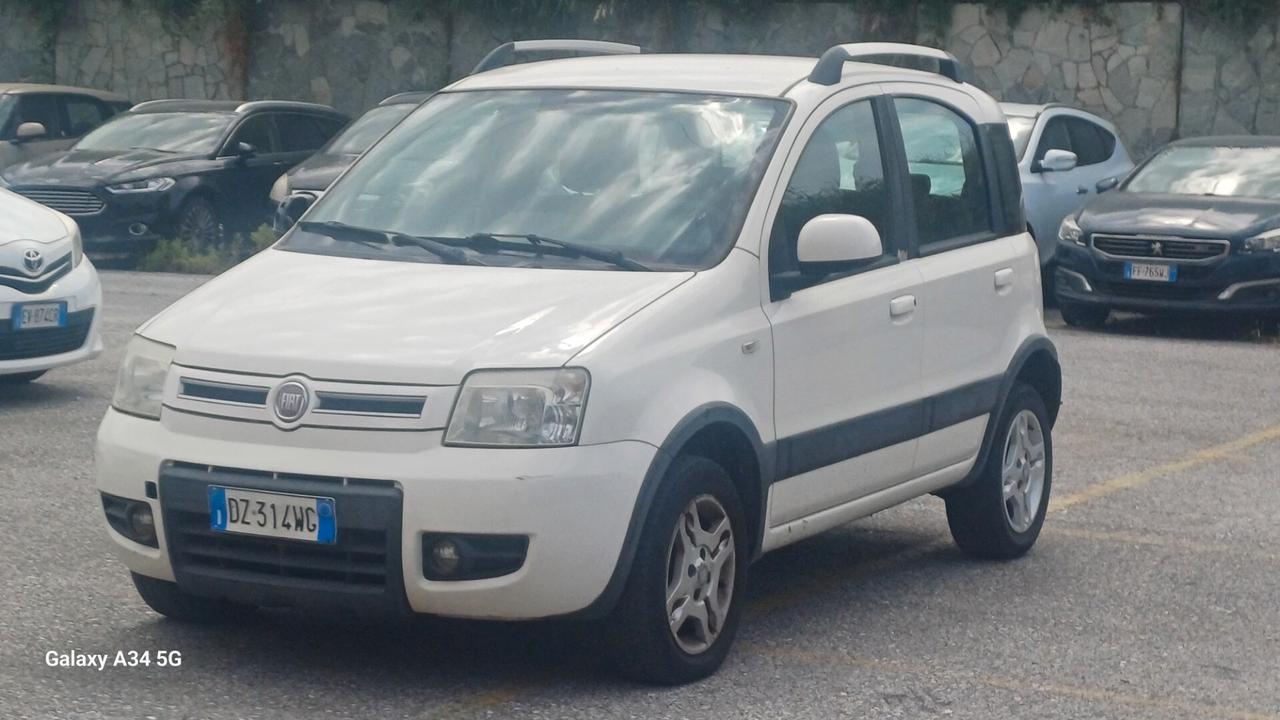 Fiat Panda 1.2 Climbing Natural Power
