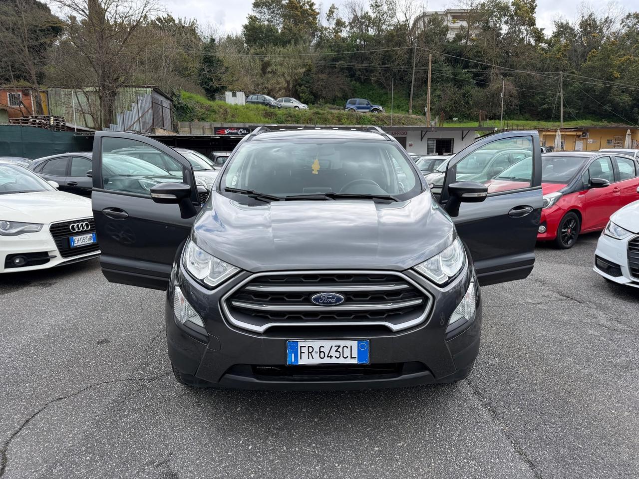 Ford EcoSport 1.0 EcoBoost 125 CV Start&Stop aut. Plus