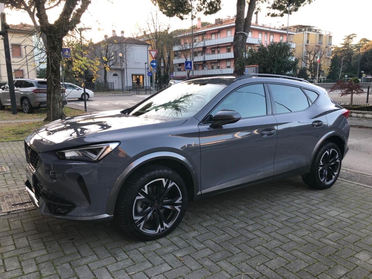Cupra Formentor 2.0 TDI 4Drive DSG