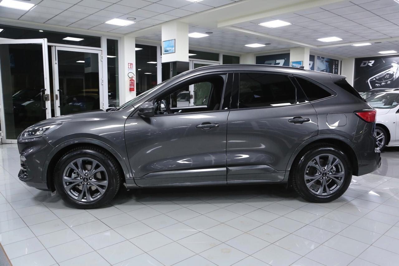 Ford Kuga 2.0 EcoBlue 120 cv ST-Line auto
