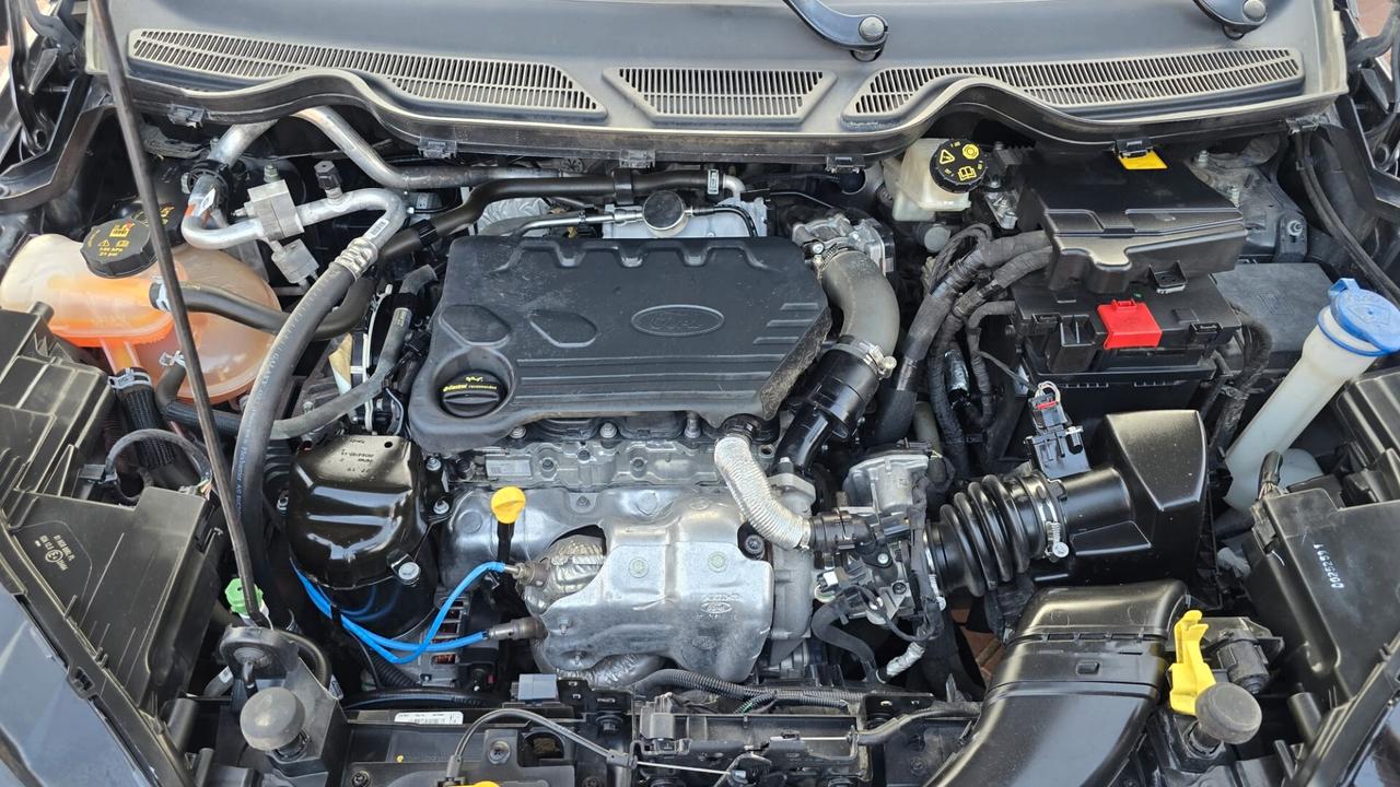 Ford EcoSport 1.5 Ecoblue 100 CV Start&Stop ST-Line