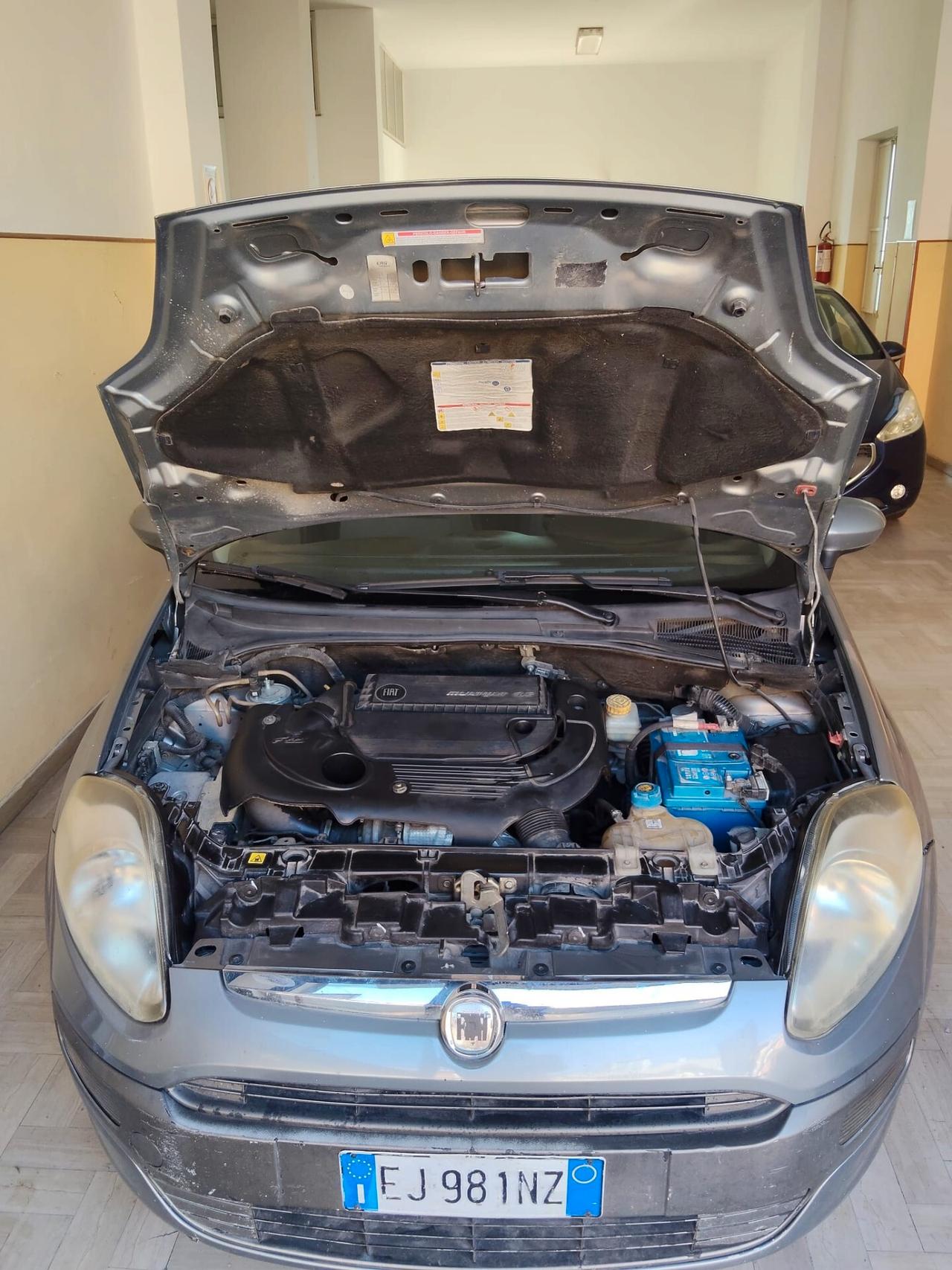 Fiat Punto Evo 1.3 Mjt 75 CV DPF 5 porte S&S Dynamic