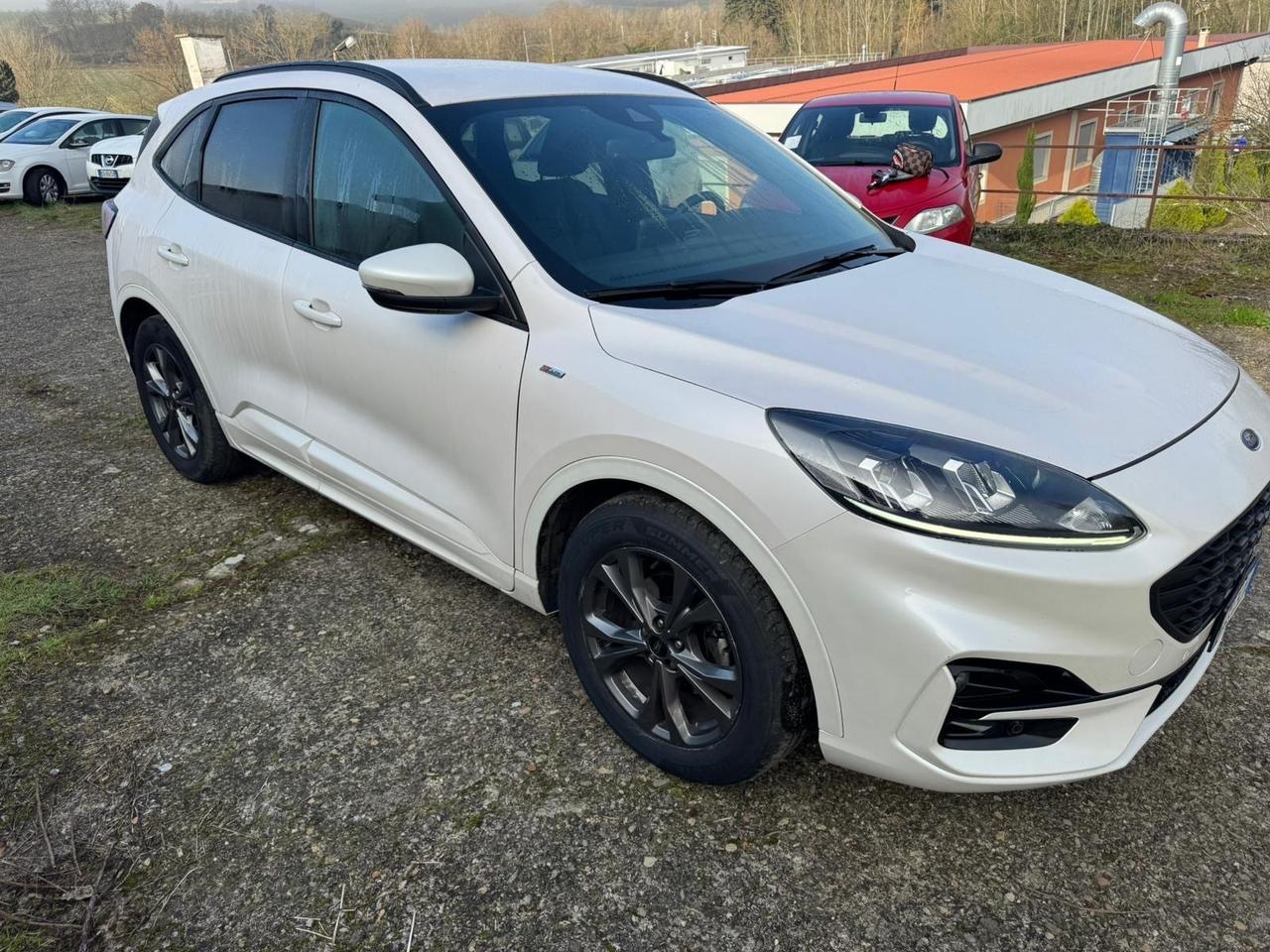 Ford Kuga 1.5 EcoBlue 120 CV aut. 2WD ST-Line X