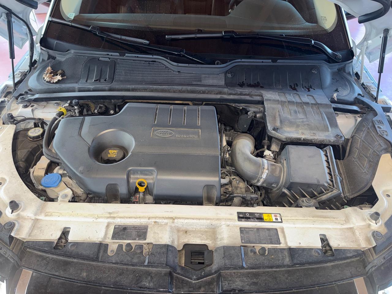 Range Rover Evoque 2.0 Diesel - 4x4 - Tagliandi certificati