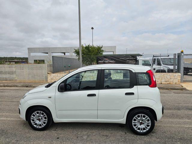 FIAT Panda 1.3 MJT S&S Easy Van 4 posti AUTOCARRO
