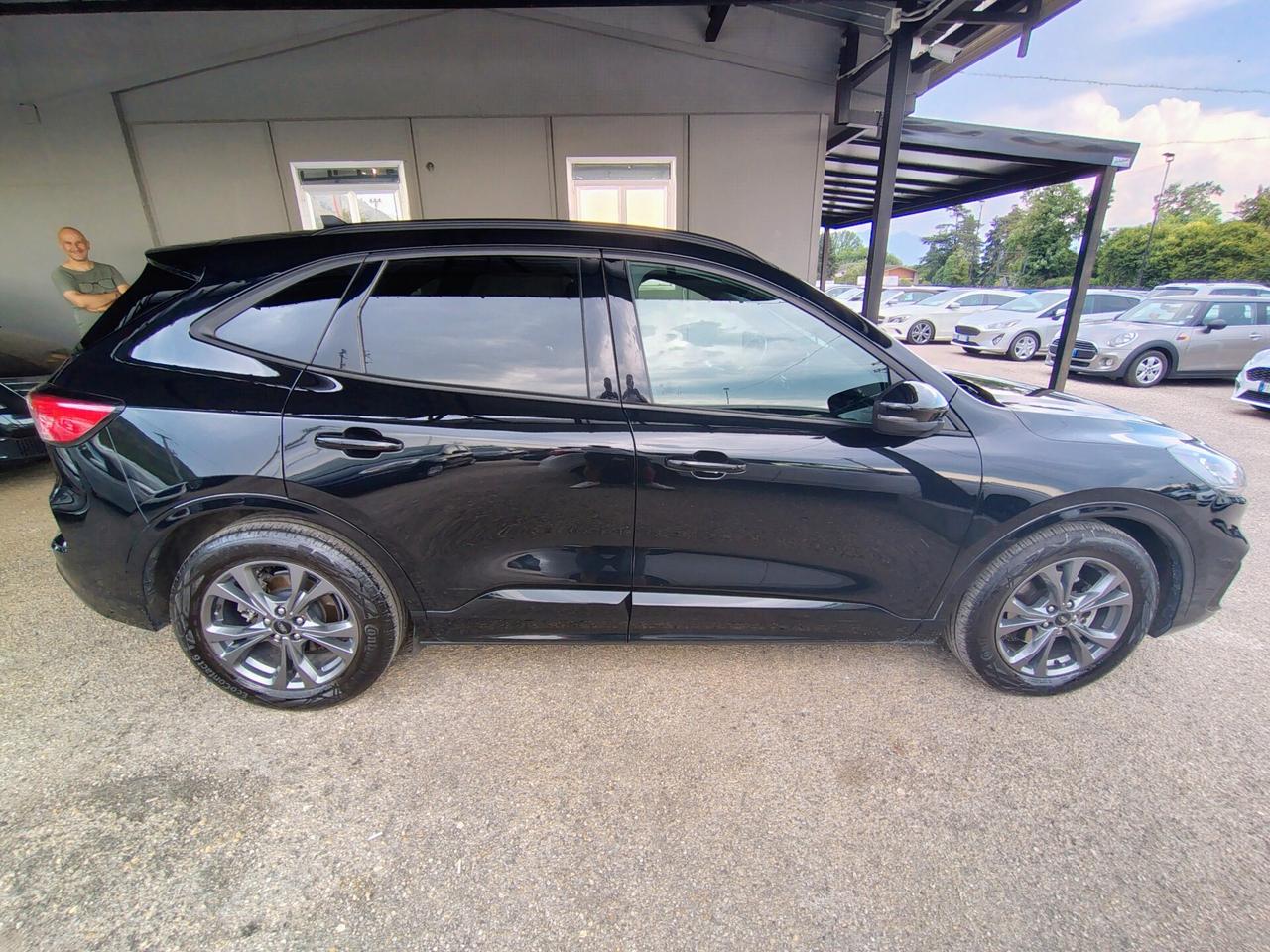 Ford Kuga 2.0 EcoBlue 120CV aut. AWD ST-Line X