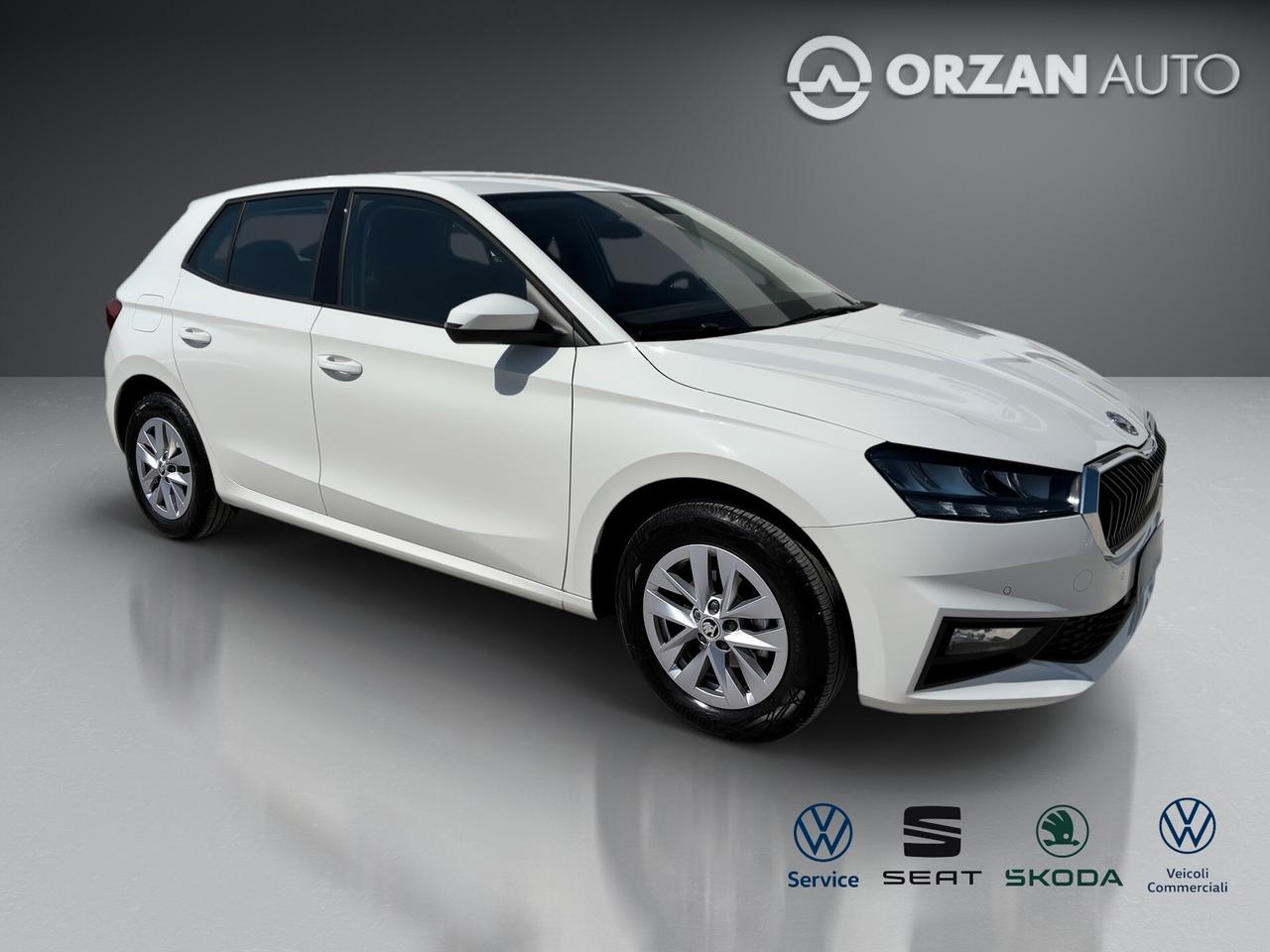 Skoda Fabia 1.0 TSI 95 CV Ambition VENDITE 3491558563 - 3478673115