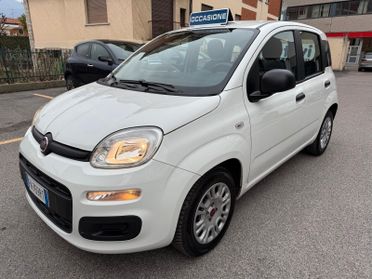 Fiat Panda 1.2 Easy 69CV S&S E6d-Temp ***OK NEOPATENTATI***