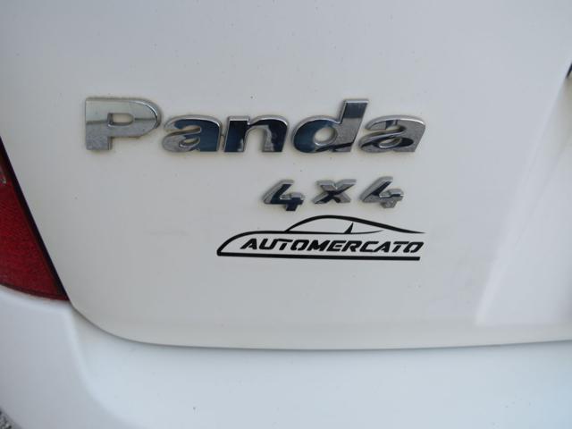 FIAT Panda 1.2 4x4 Climbing