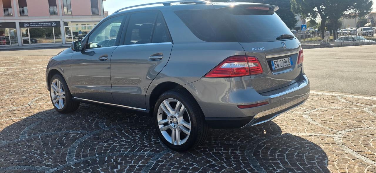 Mercedes-benz ML 250 350 BlueTEC 4Matic Premium