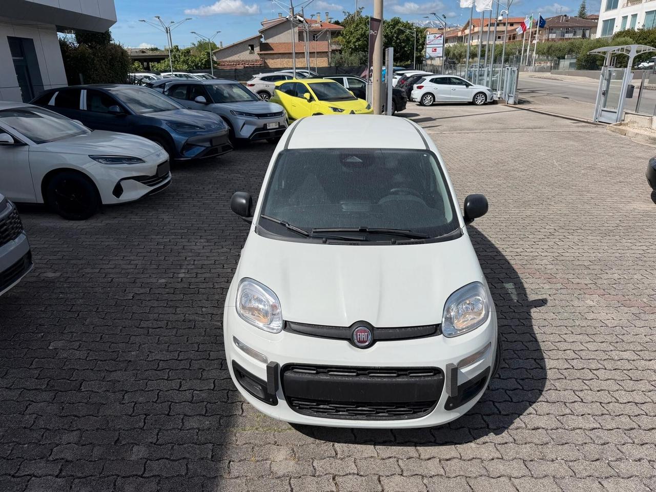 Fiat Panda Pandina 1.0 FireFly 65 CV Hybrid Icon