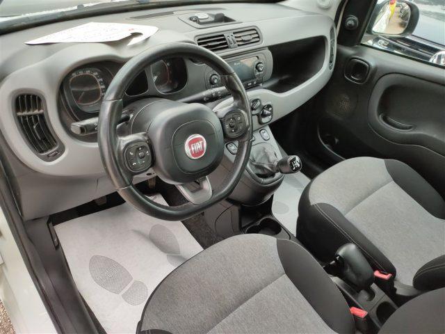 FIAT Panda New 1.2 Lounge CLIMA OK NEOPATENTATI ..