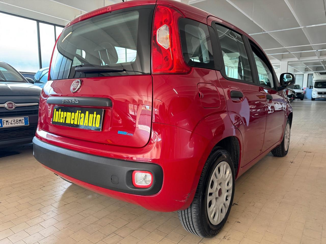 Fiat Panda 1.2 Pop Cinghia Nuova