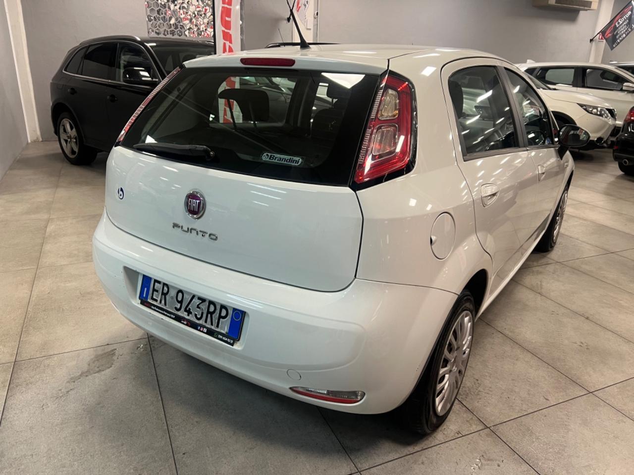 Fiat Punto 1.2 8V 5 porte Lounge 69CV Ok Neopatentati