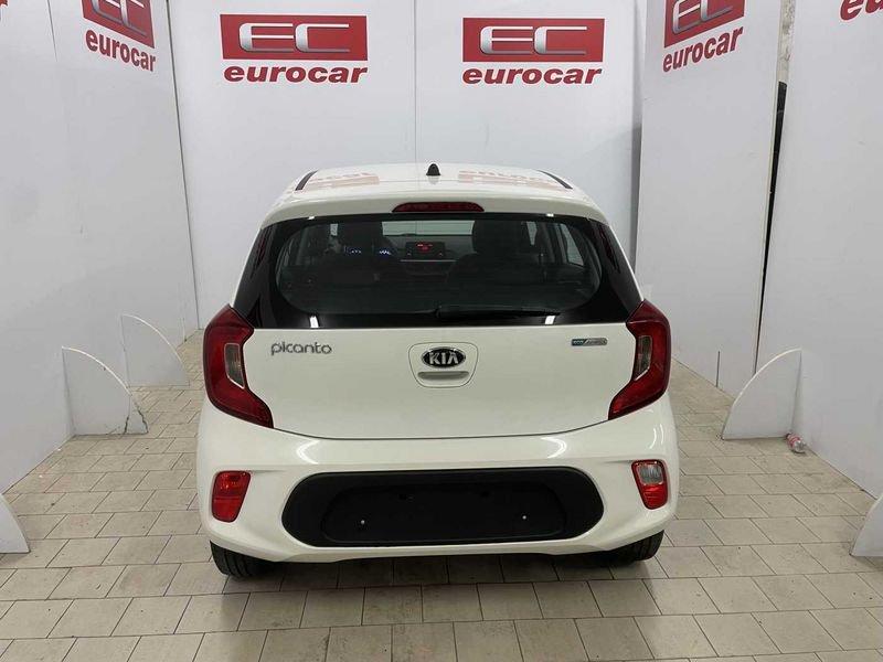 KIA Picanto Picanto 1.0 12V 5 porte City