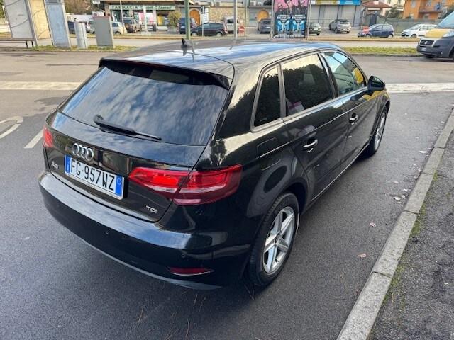 AUDI A3 3ª serie A3 SPB 1.6 TDI Business