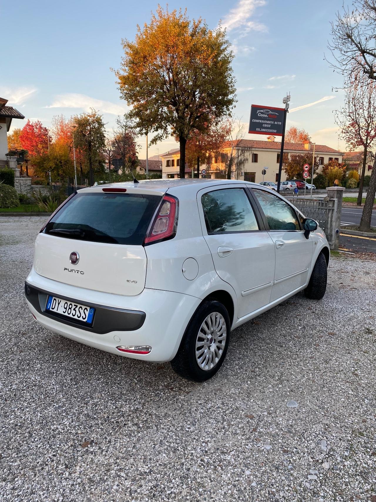 Fiat Punto Evo 1.2 5 porte Dynamic