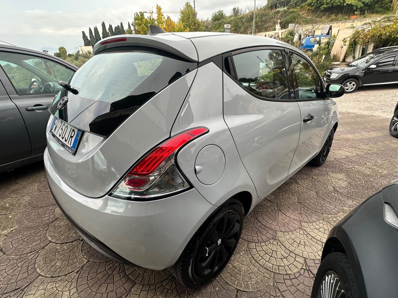 Lancia Ypsilon 1.2 69 CV 5 porte S&S Platinum