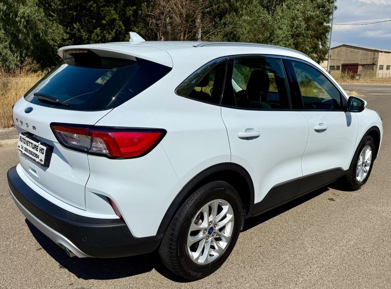 Ford Kuga 1.5 EcoBlue 120 CV aut. 2WD Titanium Business