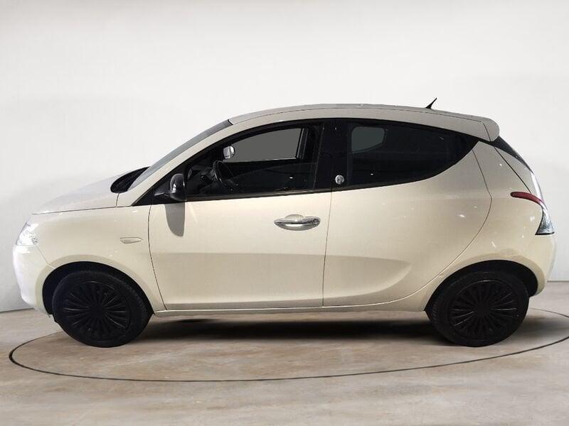 Lancia Ypsilon Ypsilon 1.2 8v Elefantino ecochic Gpl 69cv