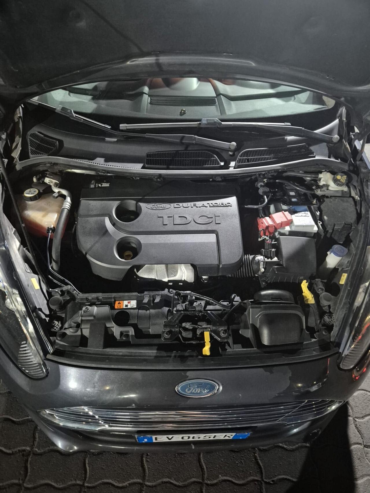 Ford Fiesta 1.5 TDCi 75CV 5 porte Titanium