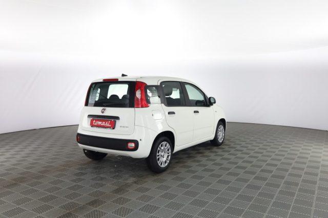 FIAT Panda Pandina 1.0 FireFly 65 CV Hybrid Icon