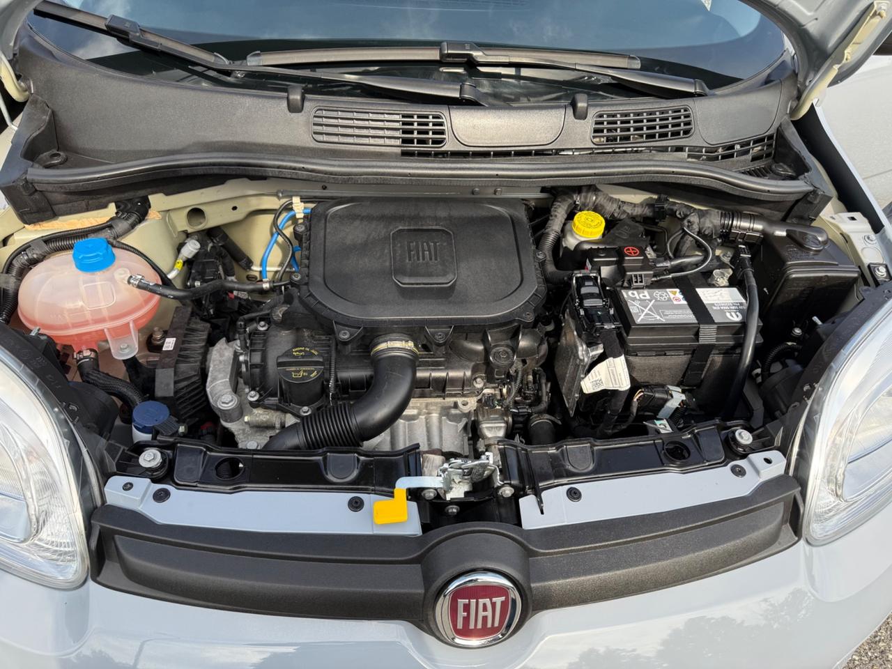 Fiat Panda 1.0 FireFly S&S Hybrid City Life