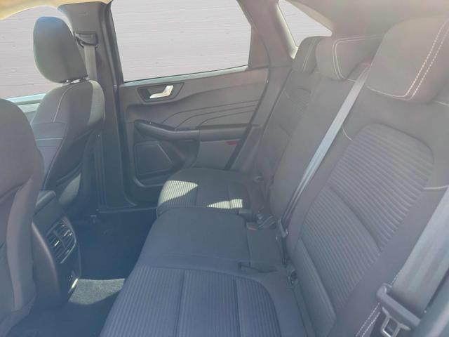 FORD Kuga 1.5 EcoBlue 120 CV 2WD Titanium Business Auto