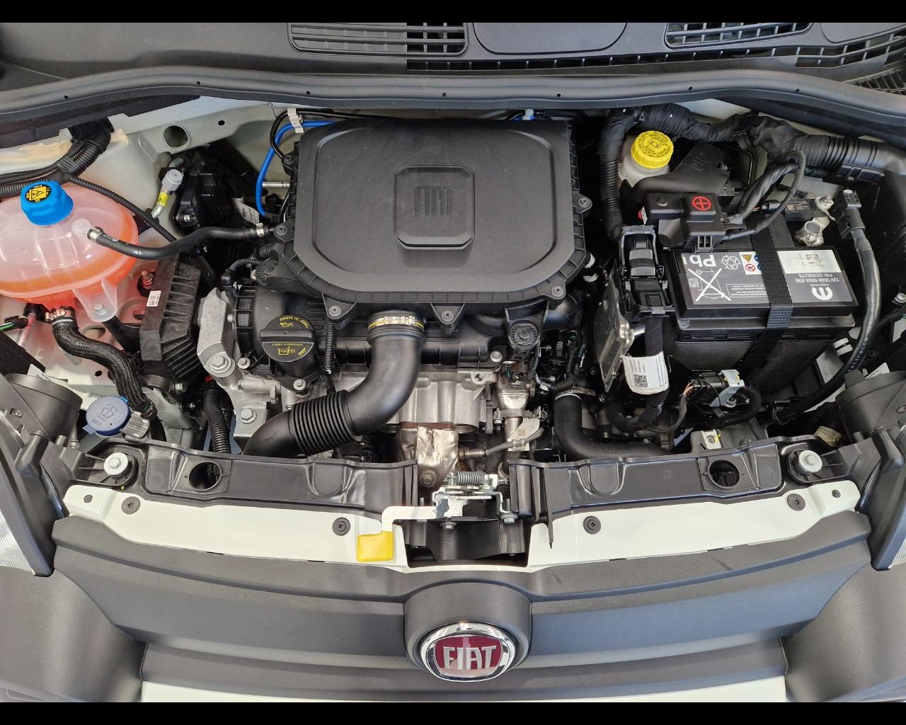FIAT Panda III 2021 Cross - Panda 1.0 firefly hybrid Cross s&s 70cv 5p.ti