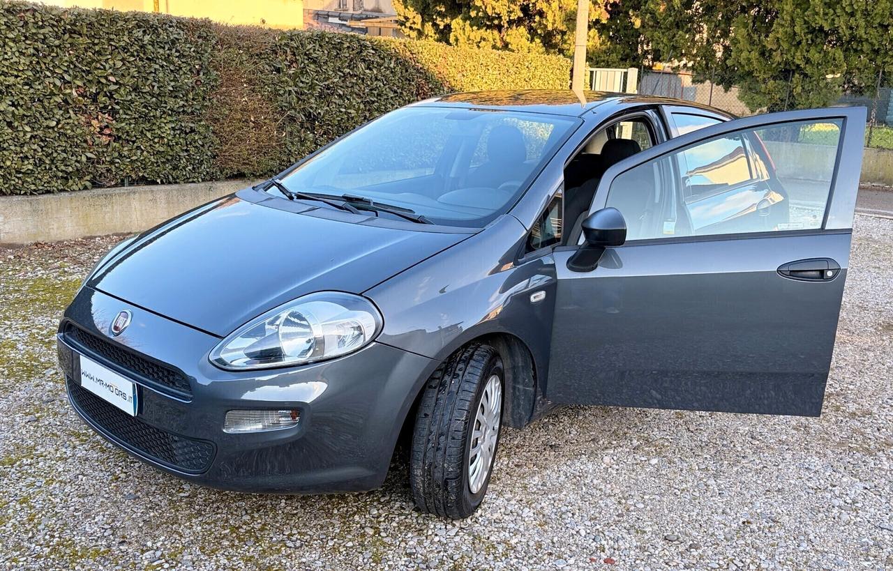 FIAT PUNTO 1.2 BENZ. - UNICO PROPR. - OK NEO PATENTATI