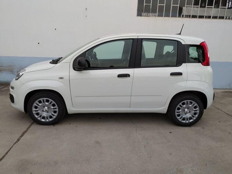 FIAT Panda 1.0 70cv Hybrid Promo Cbc26