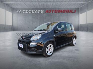FIAT Panda Panda 1.0 firefly hybrid s&s 70cv 5p.ti