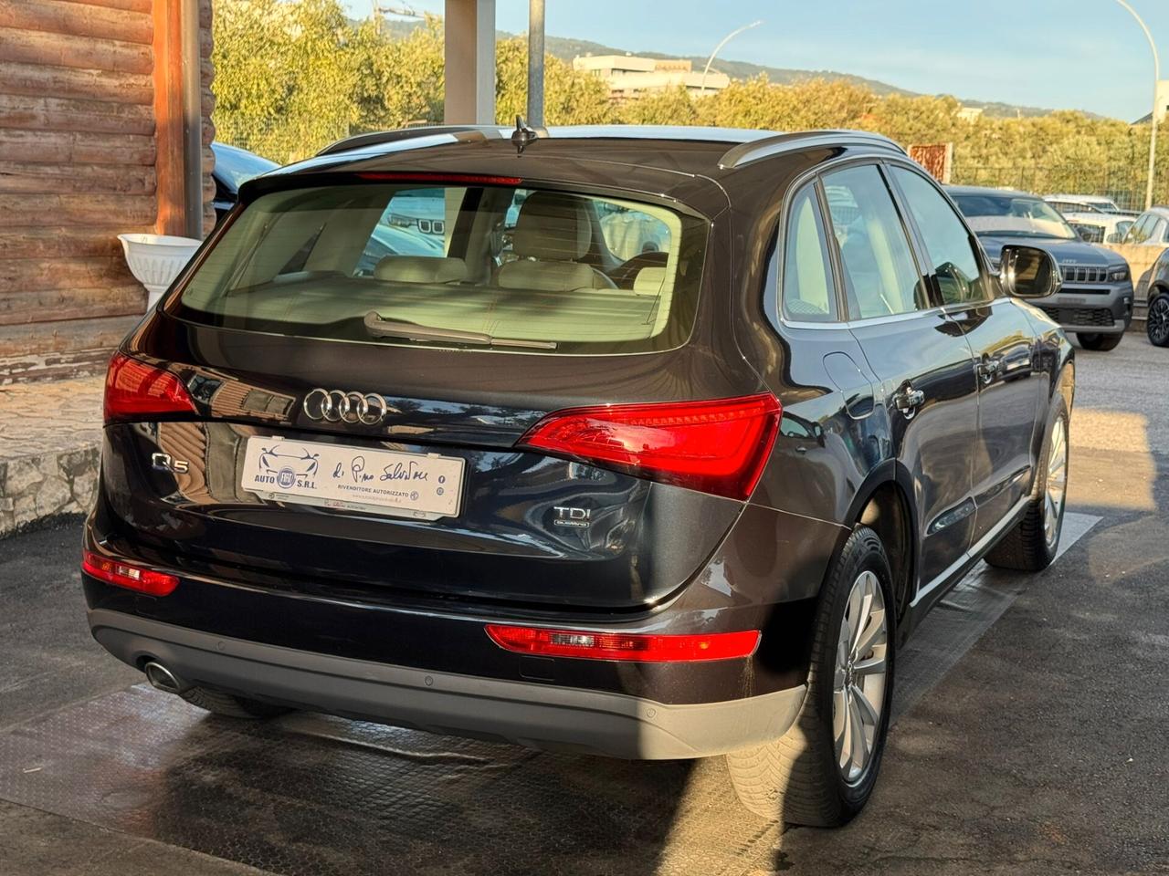Audi Q5 2.0 TDI 177CV quattro S tronic Advanced Plus
