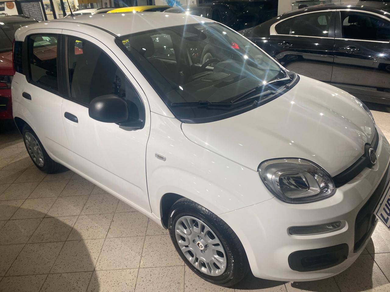 Fiat Panda 1.0 FireFly S&S Hybrid Icon