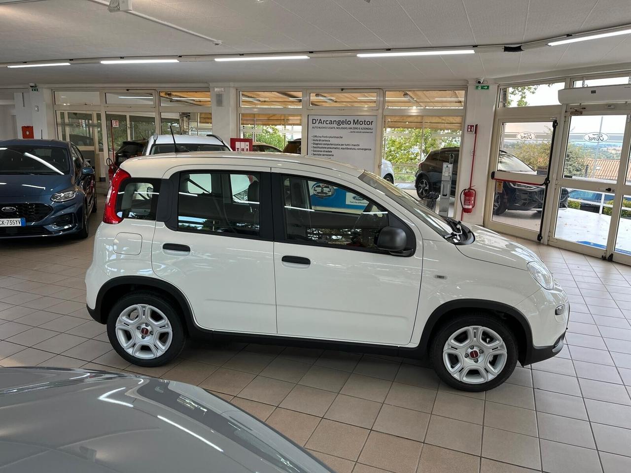 Fiat Panda 1.0 FireFly S&S Hybrid NEOPATENTATI