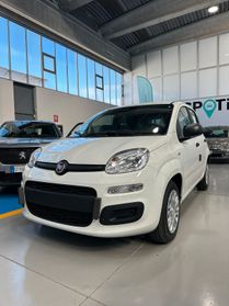 Fiat Panda 1.0 FireFly S&S Hybrid Pandina km 0