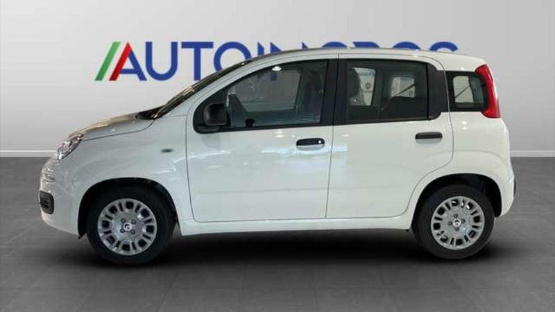 FIAT Panda 1.0 70cv Hybrid Panda