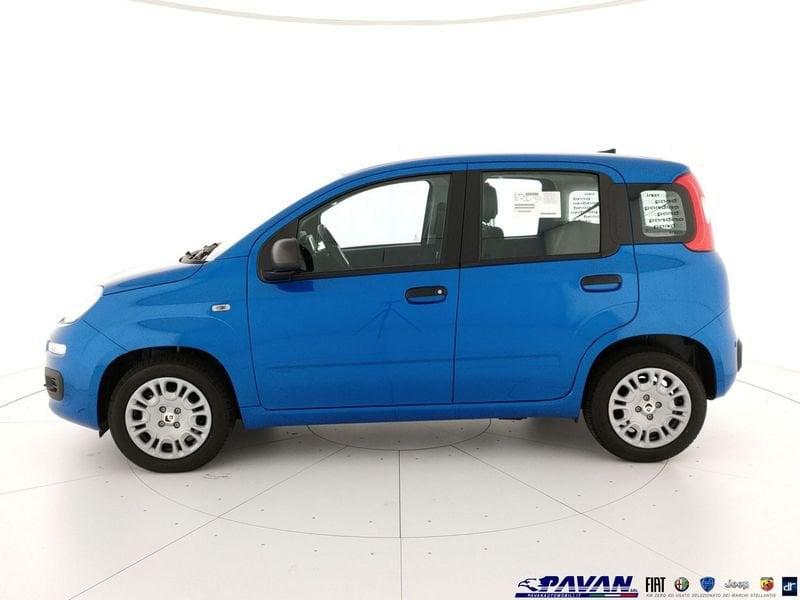 FIAT Pandina Panda 1.0 FireFly 65 CV Hybrid Pop