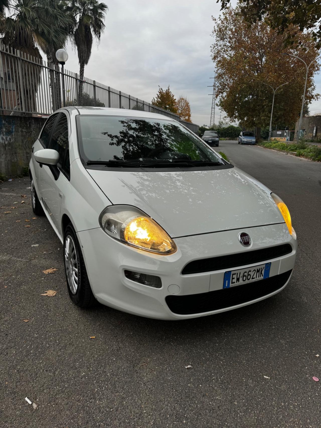 Fiat Punto 1.3 MJT II 75 CV 5 porte Street