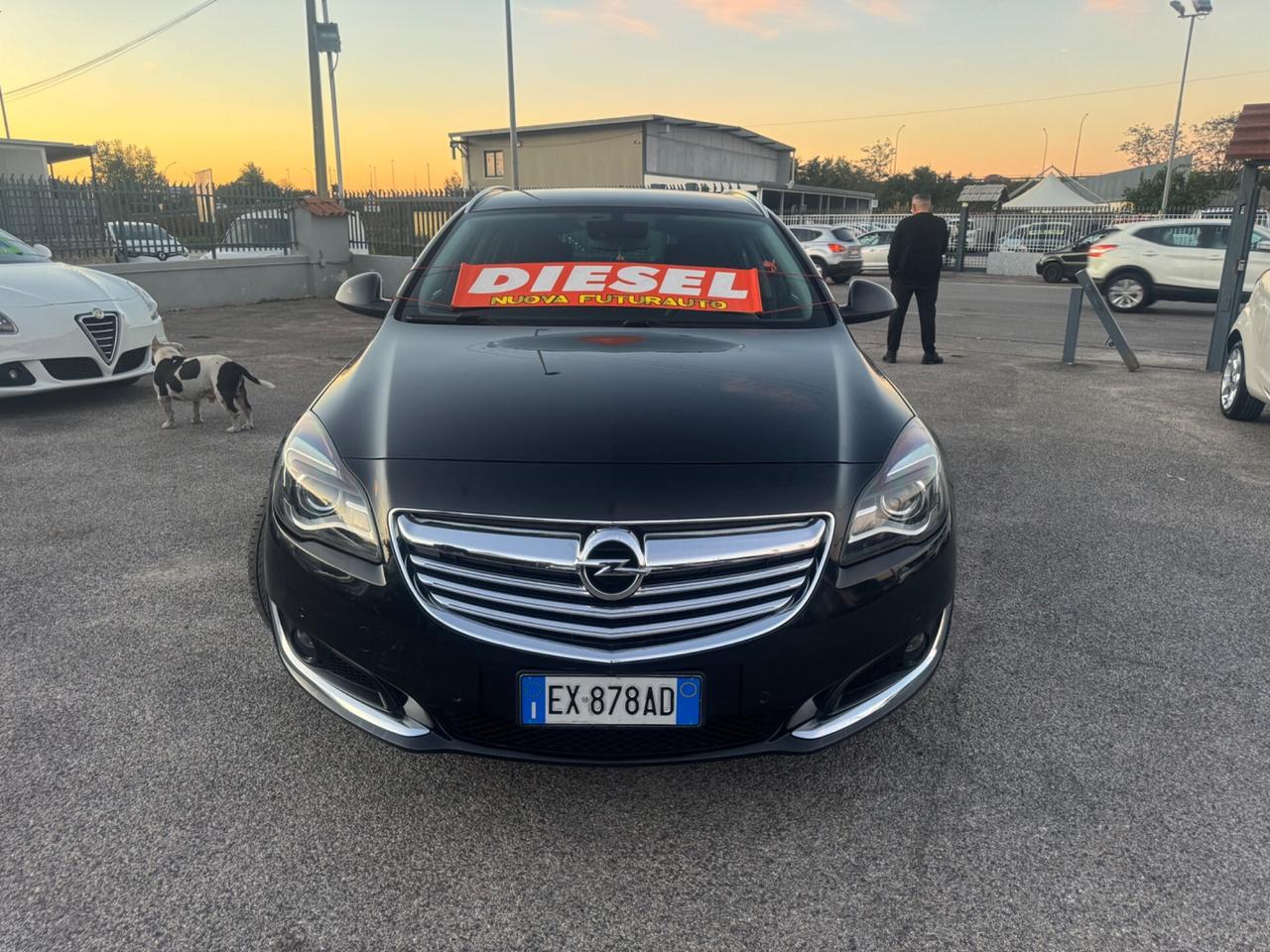 Opel Insignia 2.0 CDTI 163CV Start&Stop Sports Tourer Cosmo Business