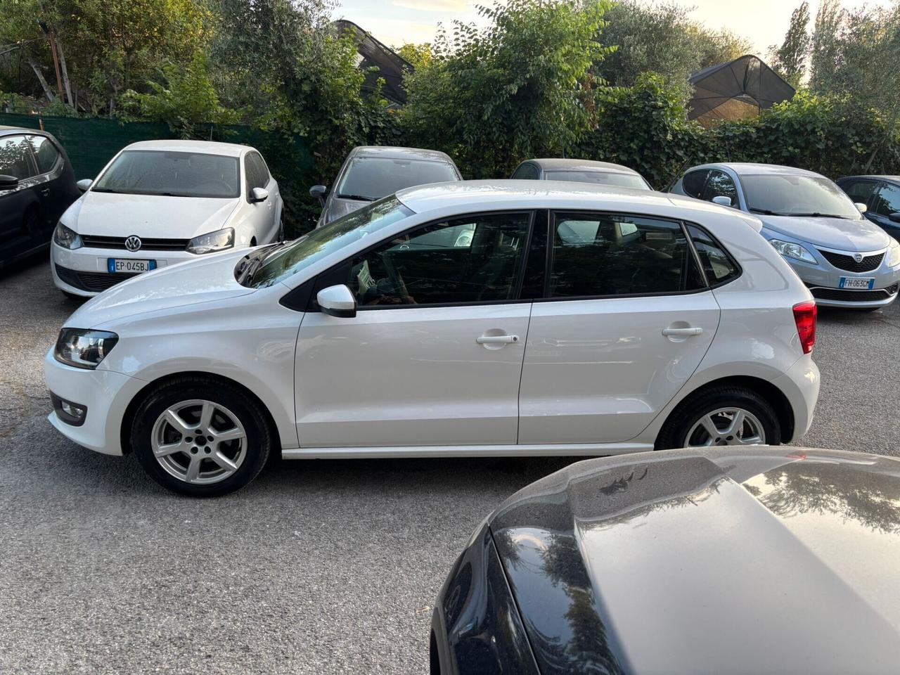 Volkswagen Polo 1.2 70 CV 5p. Comfortline OK Neopatentati