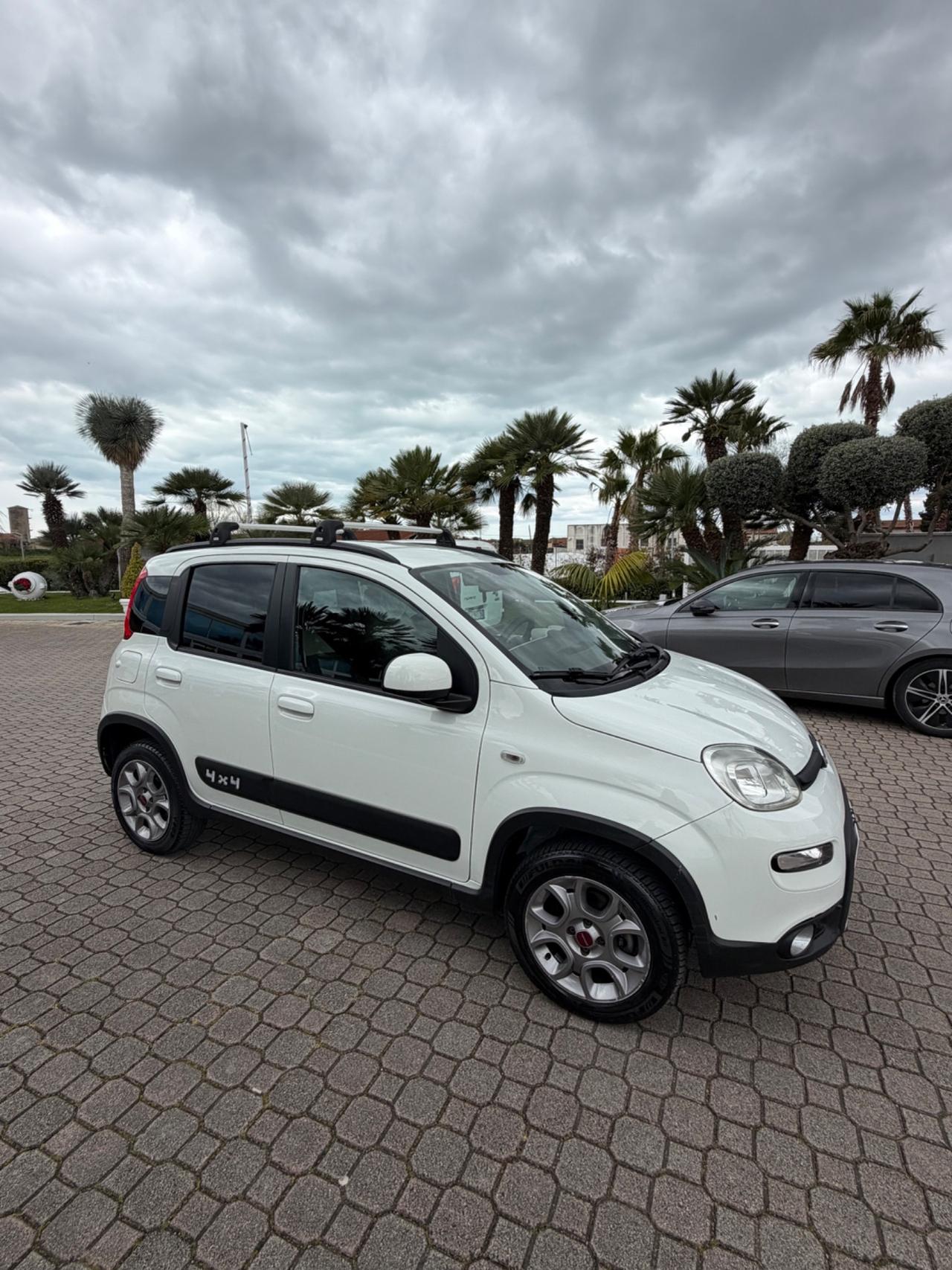 Fiat Panda 1.3 MJT S&S 4x4 Antartica