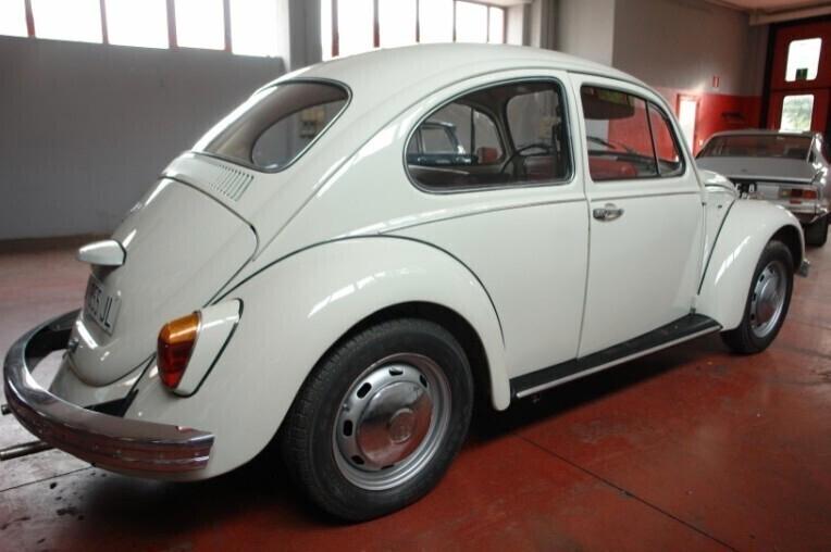 Volkswagen Maggiolino VETRO PIATTO