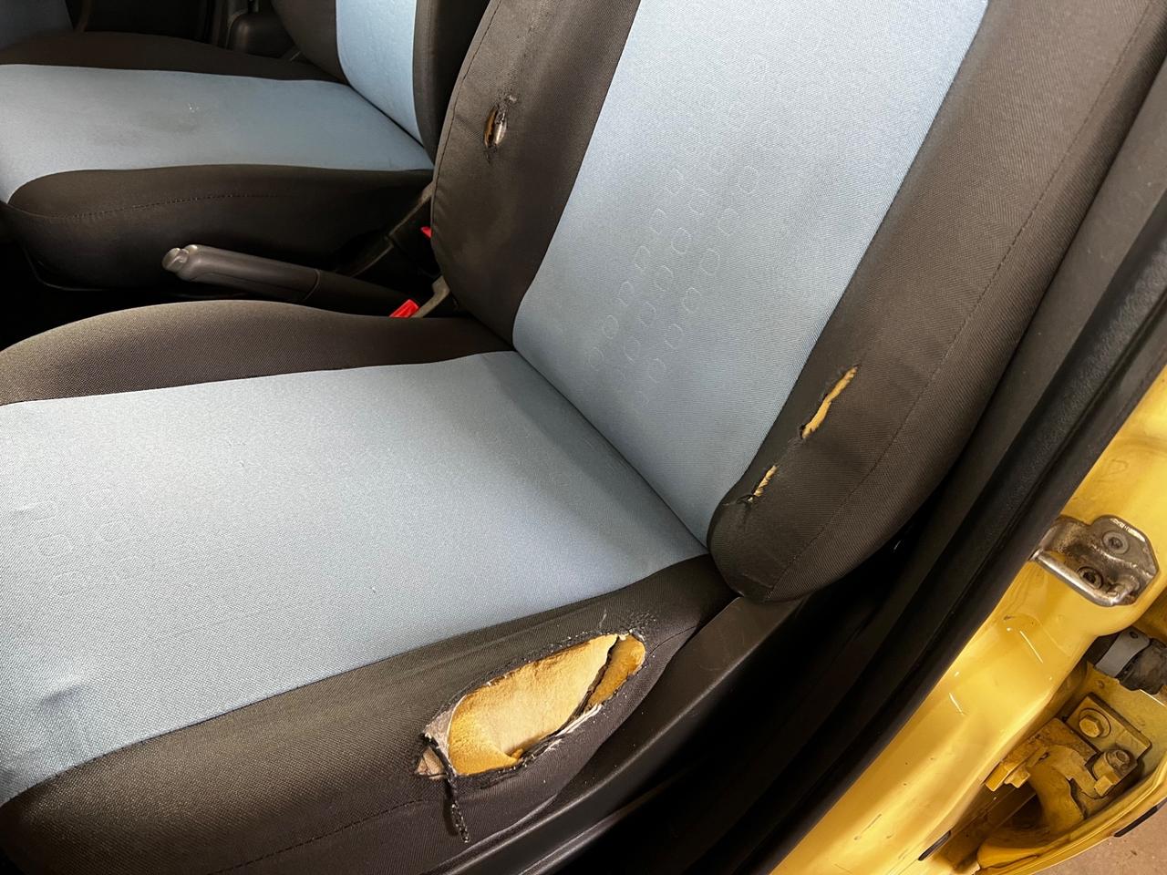 Fiat Panda 1.2 Dynamic Natural Power CINGHIA APPENA FATTA