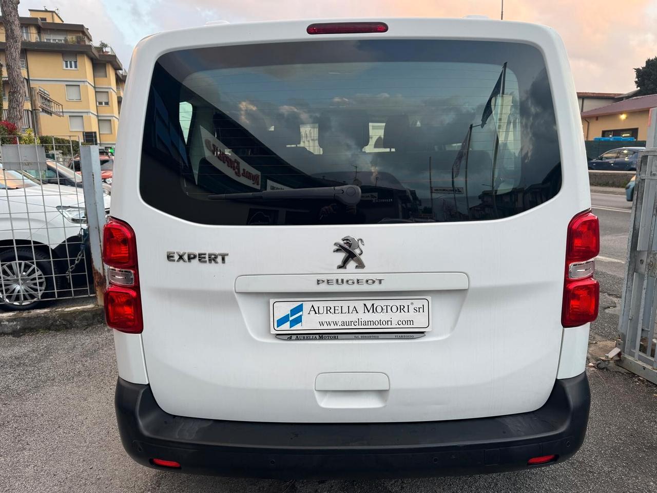 Peugeot Expert BlueHDi 120 S&S PL-TN Combi Standard PERFETTO FATTURABILE