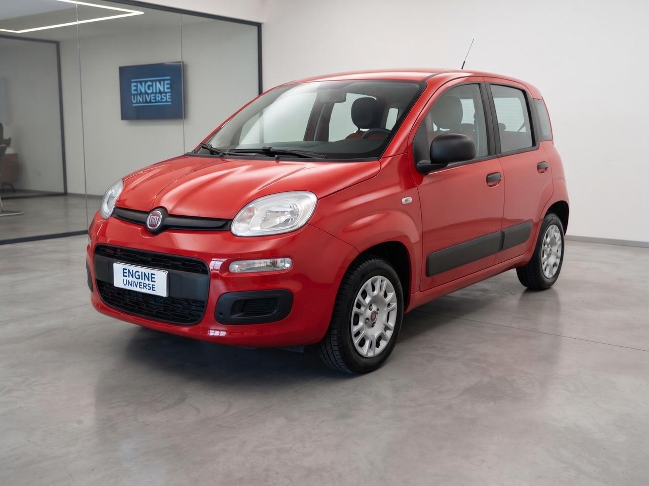 Fiat Panda 1.2 Lounge S&S (My19) - NEOPATENTATI