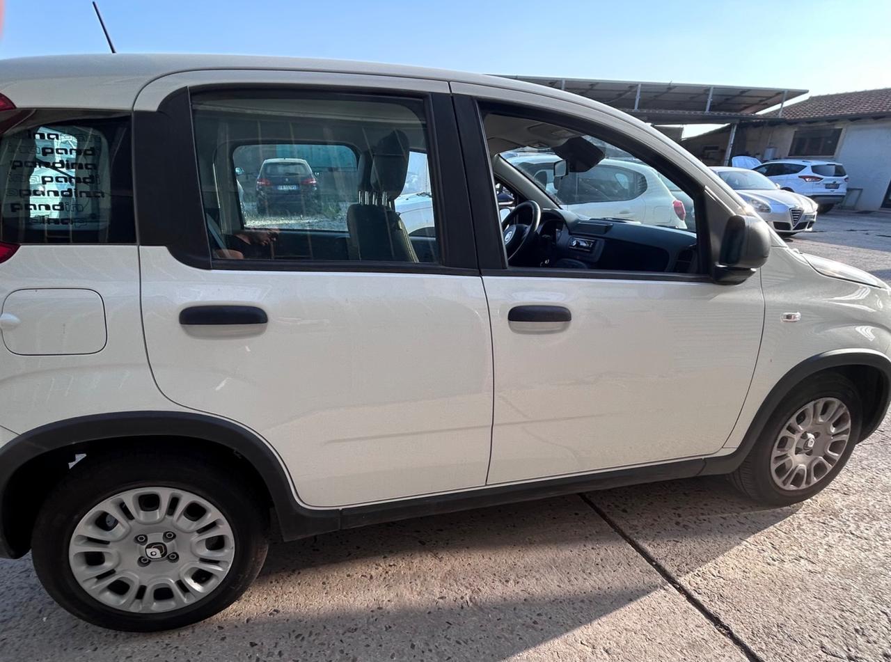 Fiat Panda 1.0 FireFly S&S Hybrid Pandina km1.500