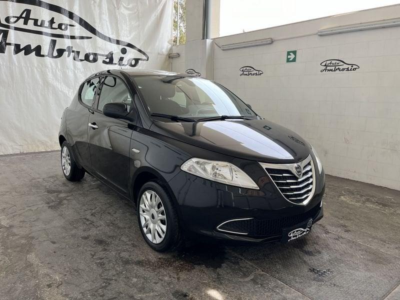 Lancia Ypsilon Ypsilon 1.2 69 CV 5 porte Platinum